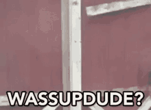 a person is standing in front of a red wall and saying `` wassup dude ? ''