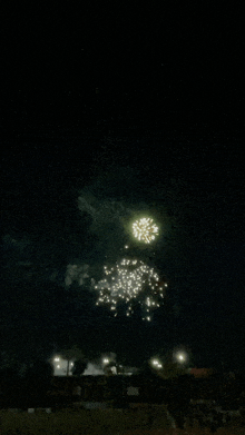 fireworks are displayed in the night sky over a field