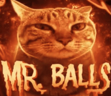 a picture of a cat with the words mr balls written above it