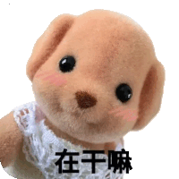 a teddy bear with chinese writing on it