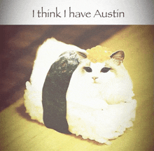 a cat wrapped in sushi with the words i think i have austin