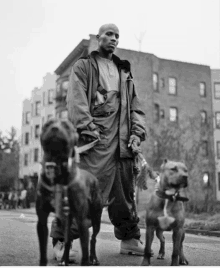 a black and white photo of a man walking two dogs on a street