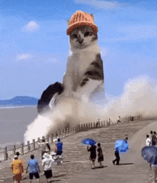 a giant cat wearing a hat is standing in front of a crowd of people