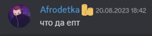 a screenshot of a discord conversation between afrodetka and what da ept