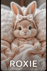 a baby rabbit is laying on a bed with the name roxie written on it .