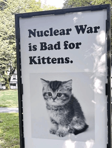 a sign that says " nuclear war is bad for kittens " with a picture of a kitten