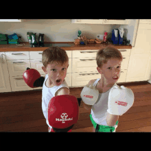 two young boys wearing boxing gloves that say hayashi on them