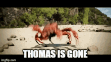 a crab is walking on a beach with the words thomas is gone below it