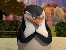 a penguin from madagascar is looking angry