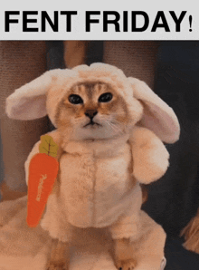 a cat dressed up as a bunny holding a carrot with the words fent friday below it