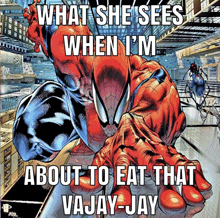 a comic book cover with a caption that says what she sees when i m about to eat that vajay-jay