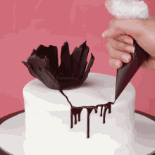 a person is decorating a white cake with chocolate