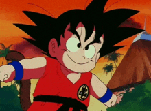 a cartoon character named goku is wearing a red karate uniform