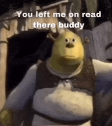 shrek is standing in front of a fence and says you left me on read there buddy