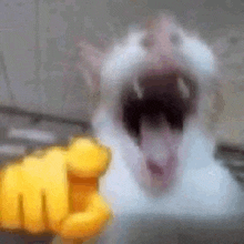 a close up of a cat with its mouth open and a yellow fist .