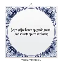 a blue and white tile that says beter grijze haren op goede grond dan zwarte op een zelskant