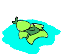 a cartoon drawing of a green frog floating in the water