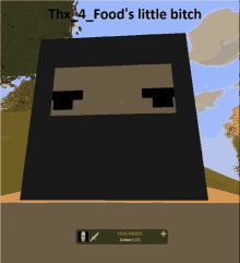 a screenshot of a video game with the words thx14_food 's little bitch at the top