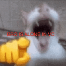 a picture of a cat with the words bro is alone in vc written on it