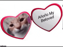 a heart shaped mirror with a picture of a cat and the words `` anono my beloved '' written on it .