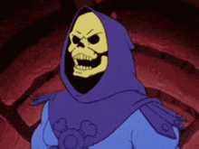 skeletor from the masters of the universe is wearing a purple hooded cape