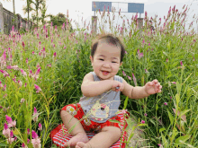 a baby sitting in a field of pink flowers