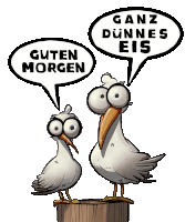 a cartoon of two seagulls with speech bubbles that say guten morgen and ganz dunnen eis