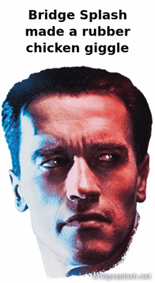 bridge splash made a rubber chicken giggle with arnold schwarzenegger 's face