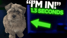a small dog standing in front of a sign that says " i 'm in "