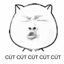 a black and white drawing of a cat 's face with the words cut cut cut cut underneath it