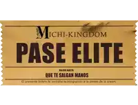 a ticket that says michi-kingdom pase elite in black