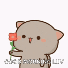 a cat is holding a flower and saying good morning luv .