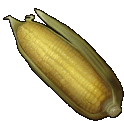 a cartoon drawing of a corn on the cob with a green husk .