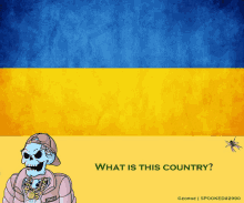 a cartoon of a skeleton with the words what is this country