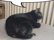 a black cat with a speech bubble above its head