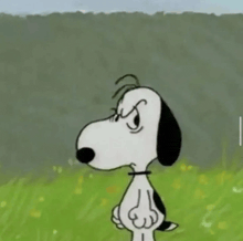 snoopy is standing in a field with an angry expression on his face .