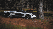 a white sports car with forza written on the side is parked next to a tree