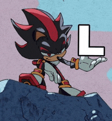 shadow the hedgehog is standing on a rock holding a letter l in his hand .