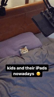 a cat is laying on a bed with the words kids and their ipads nowadays below it