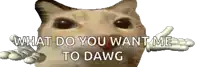 a picture of a cat with the words what do you want me to dawg