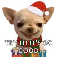 a chihuahua wearing a santa hat and scarf says try it ! it 's so good