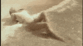 a woman in a white swimsuit is laying on the ground .