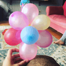 a person is holding a bunch of pink and blue balloons in their hands