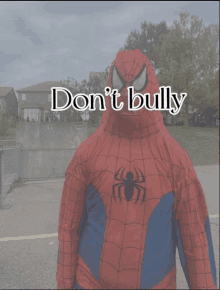 a man in a spiderman costume with the words " do n't bully " above him