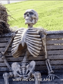 a skeleton is sitting on a wooden bench with the words waiting on the apa below it