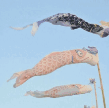 three fish shaped kites are flying in the wind against a blue sky