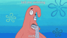 patrick star from spongebob squarepants is holding a piece of paper in his mouth and says " tell me winning niches "