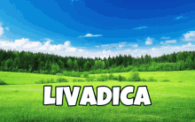 a green field with the word livadica in white letters