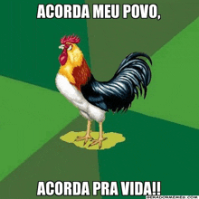 a picture of a rooster with the words acorda meu povo above it