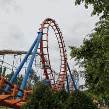 a roller coaster is surrounded by trees in a park